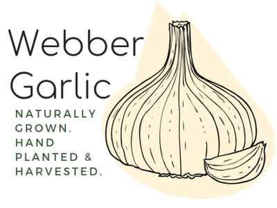 Copy_of_webber_garlic