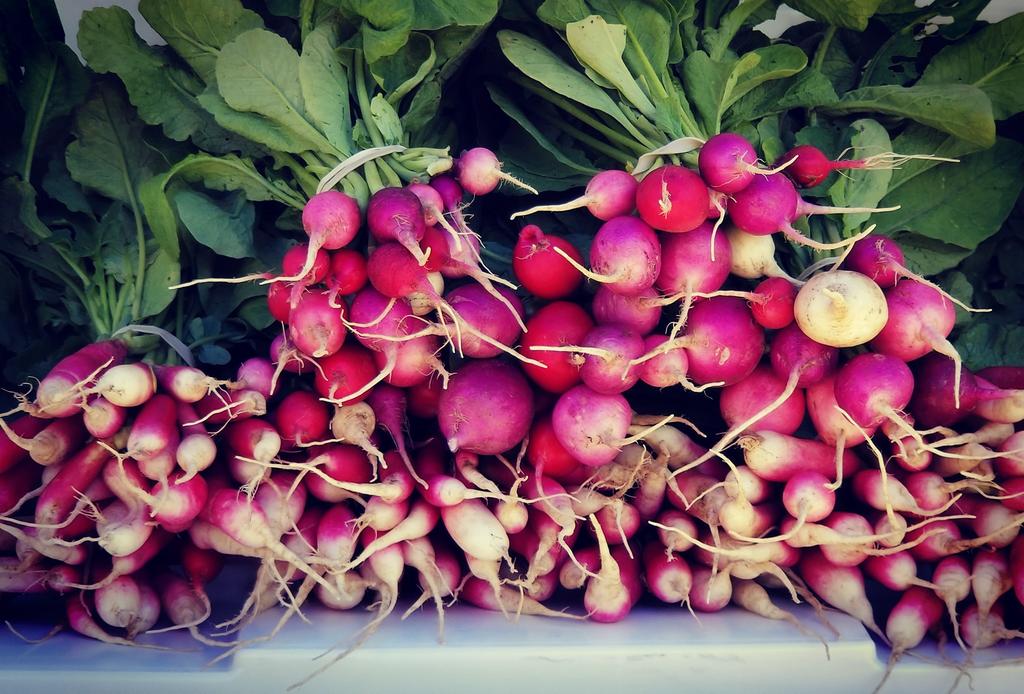 Radishes